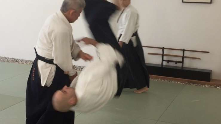 Lehrgang mit Suga Shihan 7. Dan